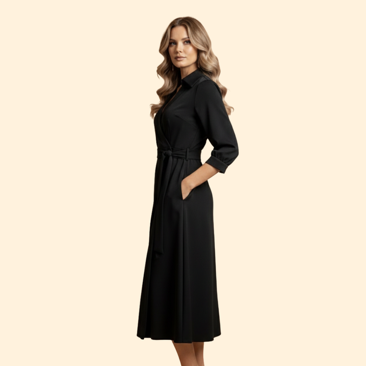 Women's A-Line Dress with Lapel Collar