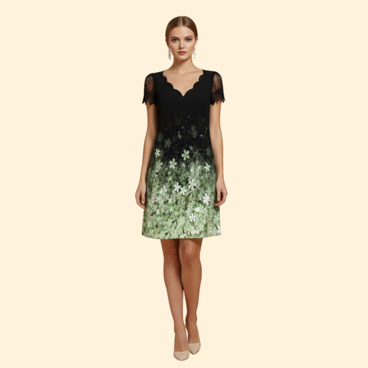 Women’s Elegant Lace V-Neck Dress