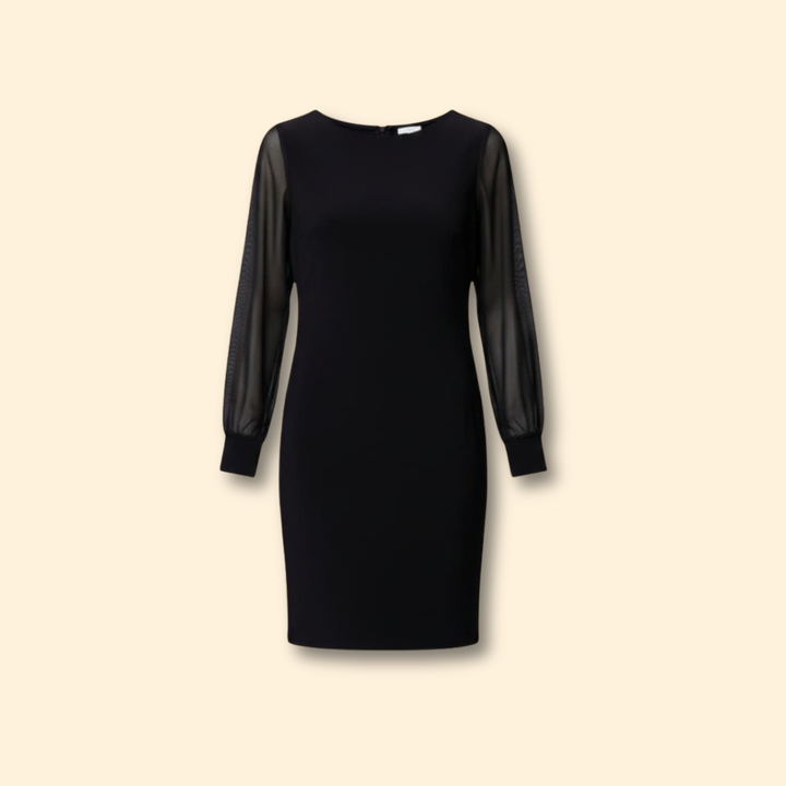 Women's  Mini Dress with Sheer Sleeves