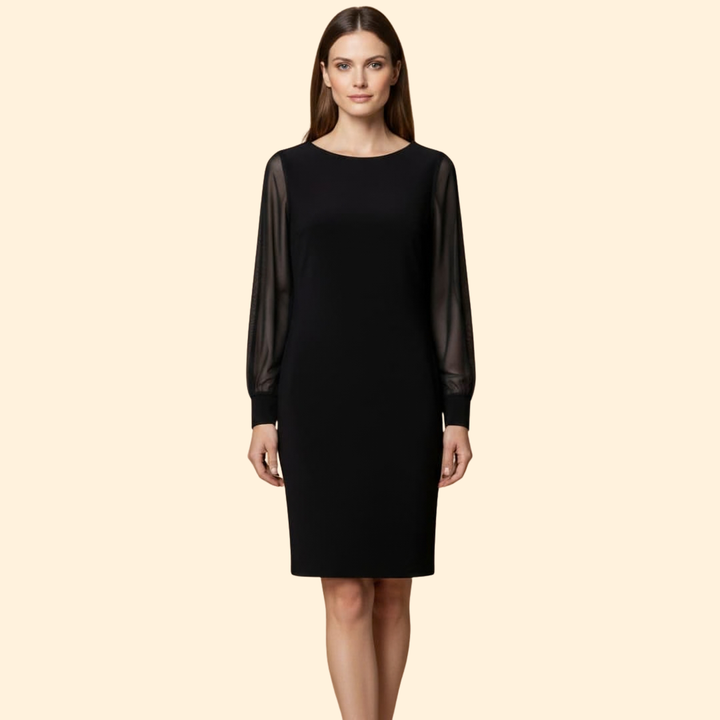 Women's  Mini Dress with Sheer Sleeves