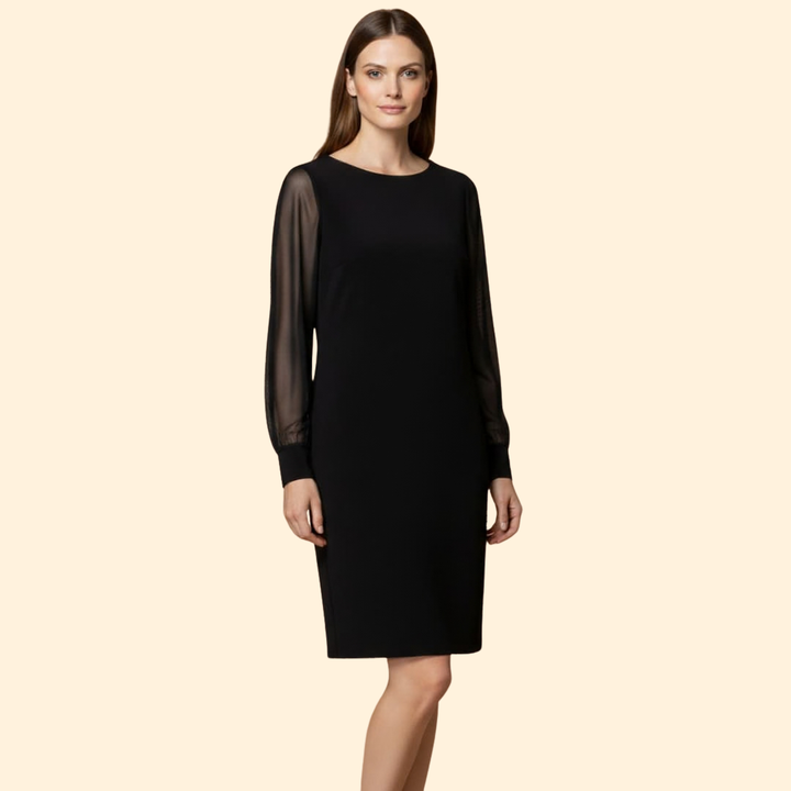 Women's  Mini Dress with Sheer Sleeves