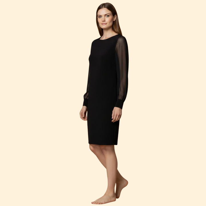 Women's  Mini Dress with Sheer Sleeves