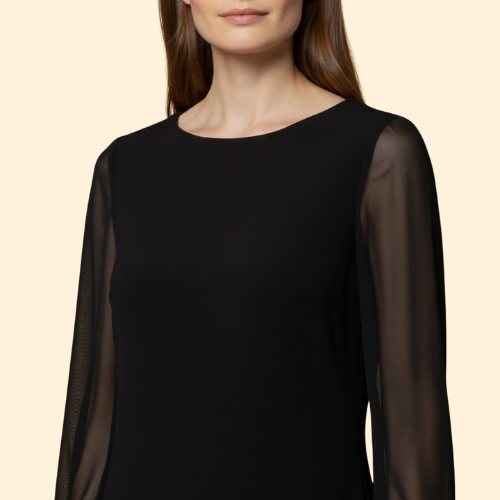 Women's  Mini Dress with Sheer Sleeves